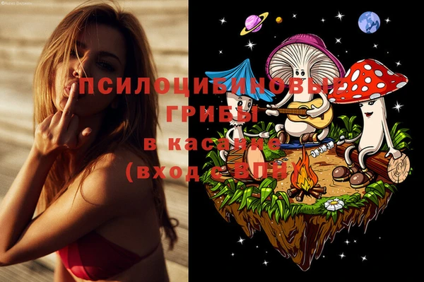 тгк Алзамай