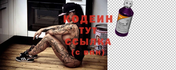 прущий лед Алексин