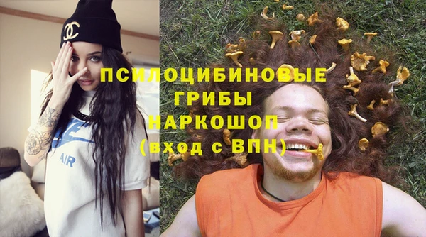 тгк Алзамай