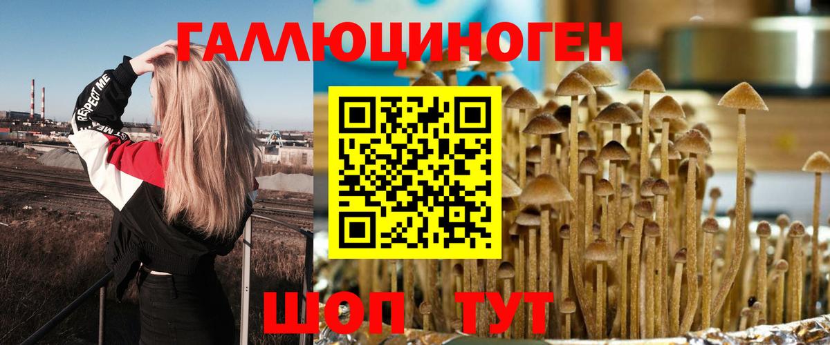 купить   Псилоцибиновые грибы мицелий  Вход с VPN  Татарск 
